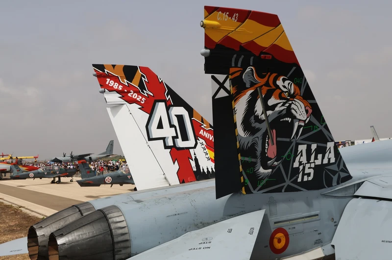 Detalle de la decoración de los estabilizadores verticales del EF-18M del Ala 15. Foto: Julio Maíz